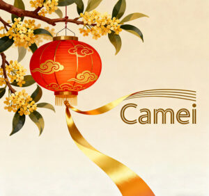 Camei Celebrates National Day: Salute to Cultural Spirit, Unite for the Future